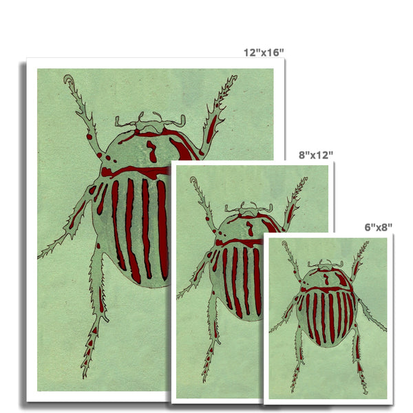 Striped Beetle Giclée Print