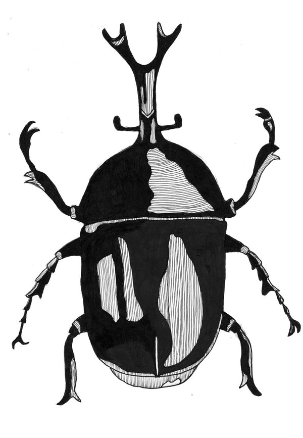 Beetle no.2