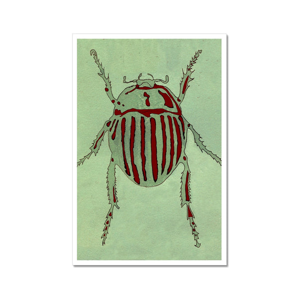 Striped Beetle Giclée Print
