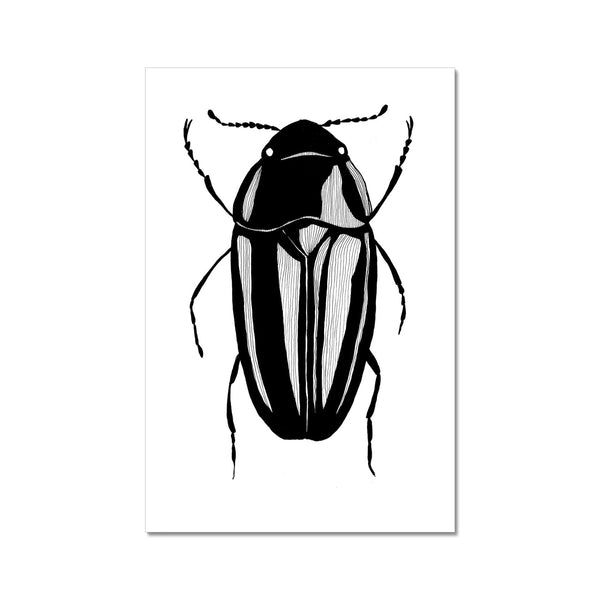 Beetle no. 4 Hahnemühle German Etching Print - 8x12 - Fine art