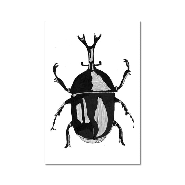 Beetle no.2 Giclée Print