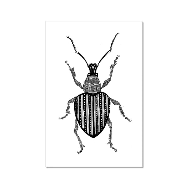 Beetle no. 3 Giclée Print