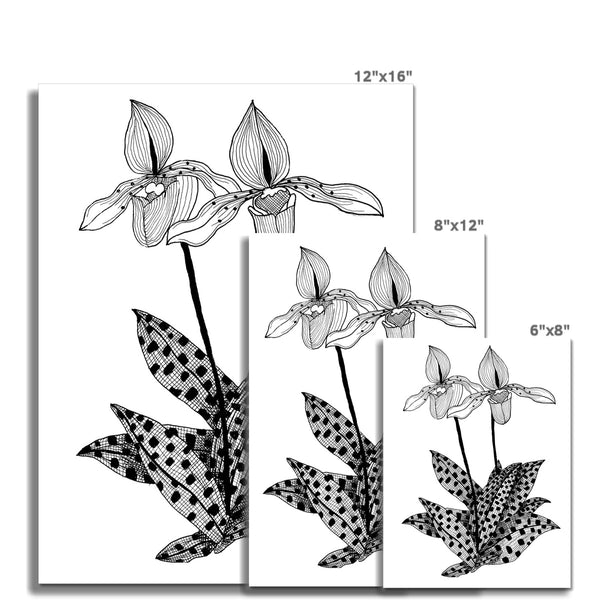 Two Orchids Giclée Print