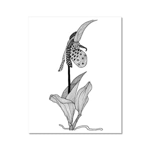 Lady Slipper Orchid Giclée Print