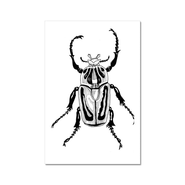 Beetle no.1 Giclée Print